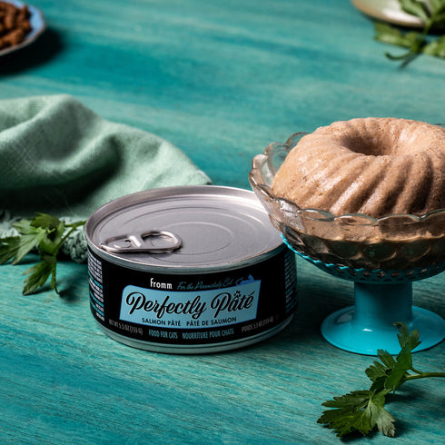 Fromm PurrSnickety Wet Cat Food - Salmon Pâté - 5.5oz Can